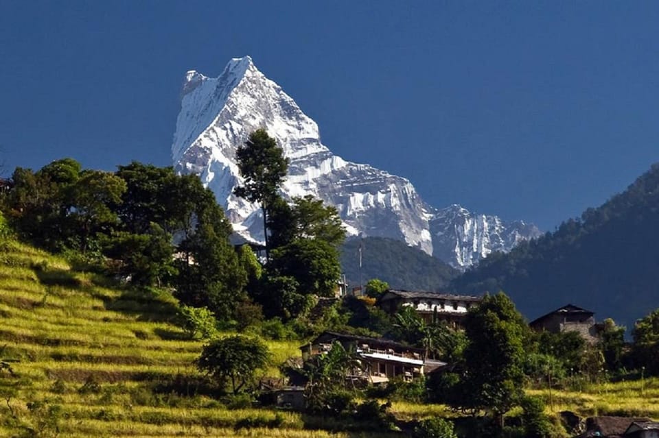 Unforgettable Pokhara to Annapurna Foothills Day Hike - Scenic Driving Experience