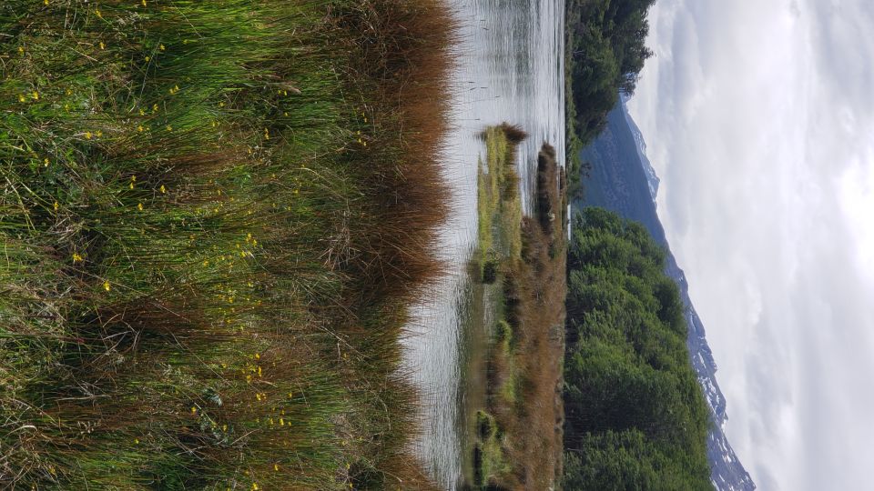 Ushuaia: Private Tour Tierra Del Fuego National Park - Inclusions of the Tour