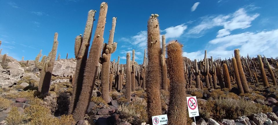 Uyuni Salt Flat Full Day Tour for 4 With Speak English Guide - Preparation and Recommendations