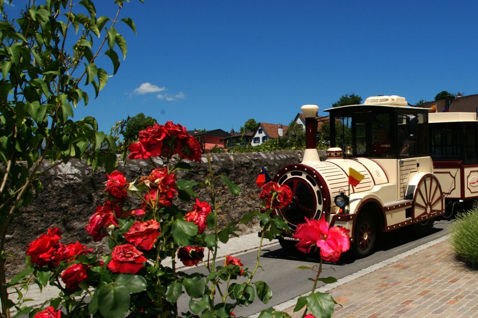 Vaduz: City Train Tour - Languages Available for Tour