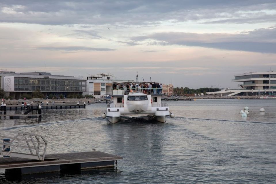 Valencia: Catamaran Cruise, Paella Lunch and Swim Stop - Important Notes