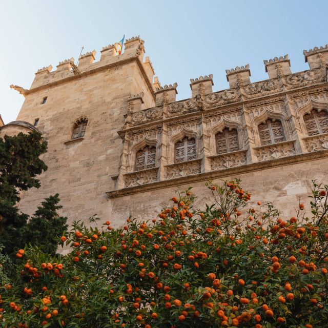 Valencia: Private and Guided City Walking Tour - Tour Inclusions and Customization