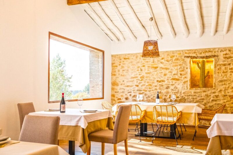Valencia: Winery Visit With Vineyard Tour & Wine Tasting - Reservation and Check-in