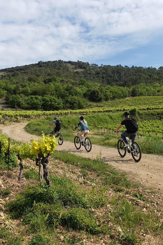 Vallon-Pont-dArc: Electric Bike Wine Tour & Tasting - Participant Requirements