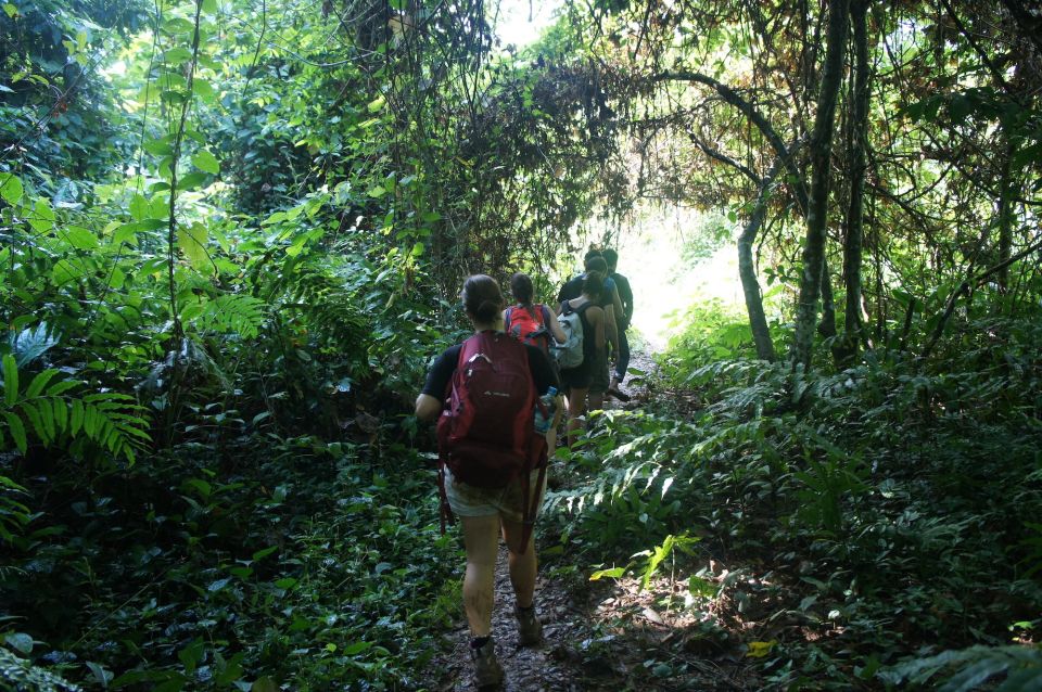 Vang Vieng: Jungle & Caves Full-Day Private Trekking Tour - Important Information