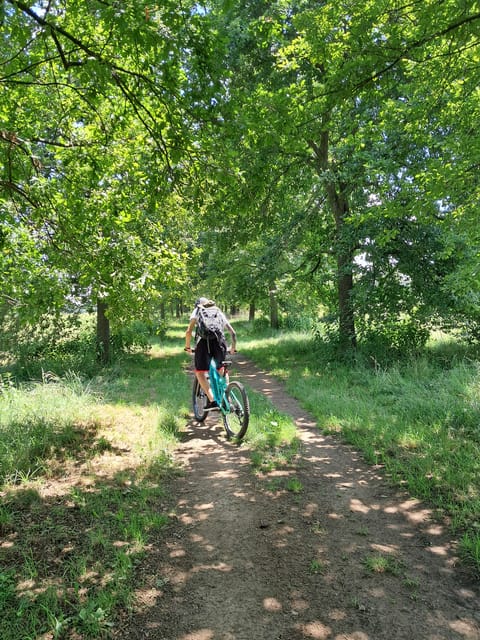 Venaria Reale: Self-Guided E-Bike Tour of Mandria Park - Logistics and Meeting Information