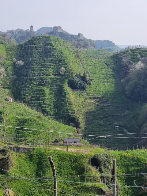 Venice : Prosecco Hills Tour With Tasting and Wine!! - Cancellation and Refund Policy