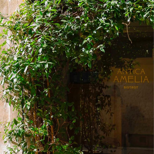 Verona: Cooking Class With Chef Micol Zorzella - Instructional Experience