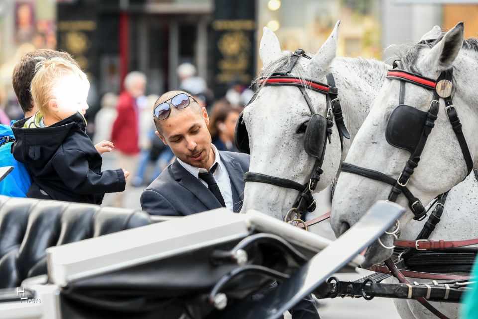 Vienna: 30-Minute Fiaker Ride in the Old Town - Visitor Experiences