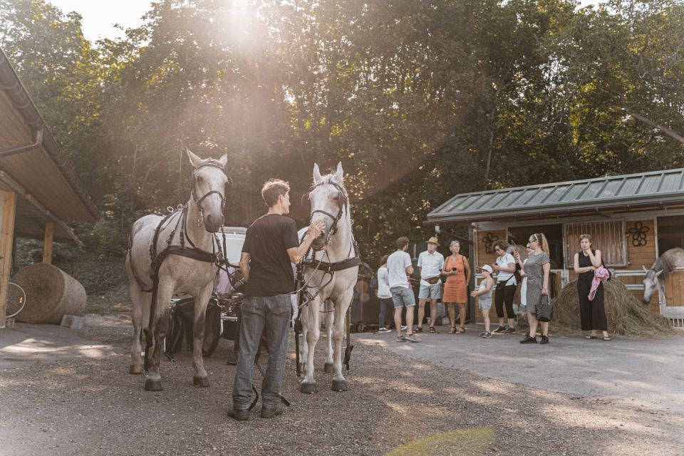 Vienna: Secrets of the Fiaker & Horse-Drawn Carriage Ride - Group Size and Language Options