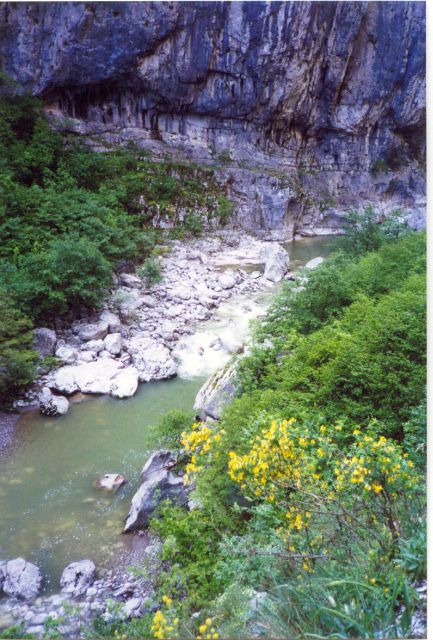 Vikos Gorge Full-Day Guided Hike - Customer Feedback