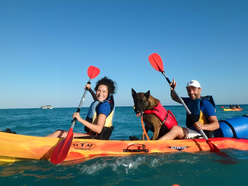 Villajoyosa: Kayaking With the Mans Best Friend, Your Dog - Kayak and Equipment Specifications