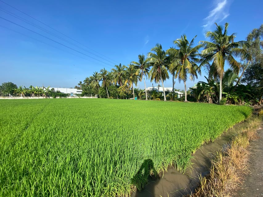 Vip Mekong Delta Tour 1day Cycling-Kayak Cooking Group 8pax - Inclusions and Exclusions