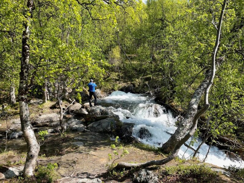 Visit Bubbelen, River Comes Out of the Ground. - Family-Friendly Features