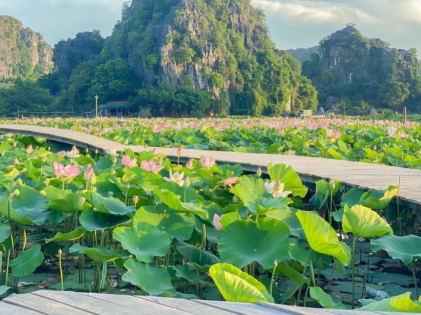 Visit Famous Spots And Admire Birds In Ninh Binh For 2 Days - Boat Ride in Tam Coc