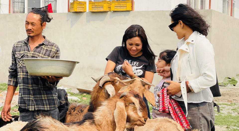 Visit Our Non-Profit Animal Sanctuary in Kathmandu! - Included Experiences