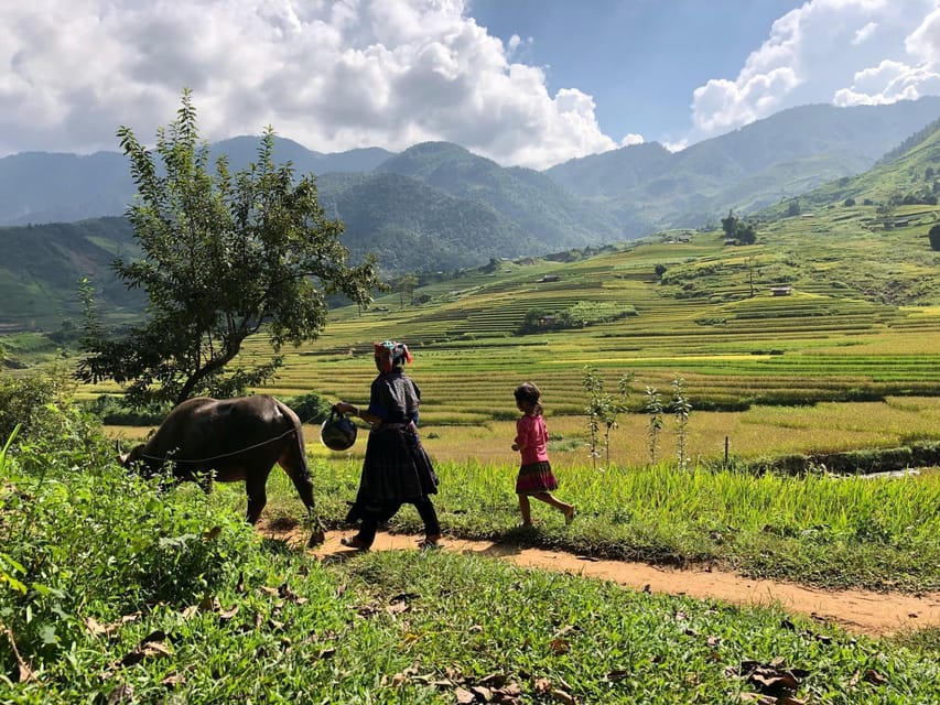 Visit Villages, Terrace Rice Field With Easy Riders - Whats Included in the Tour