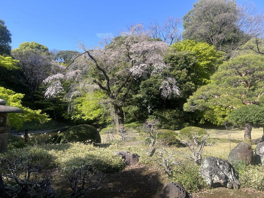 Walking Tour in Shinjuku & Kagurazaka: Tokyos Hidden Gems - Nature Exploration