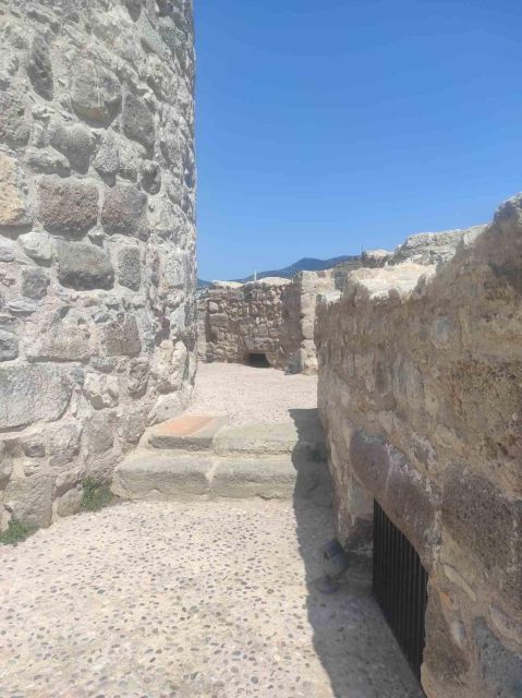 Walking Tour of Halicarnasos & Bodrum St Peters Castle - Guided Experience Details