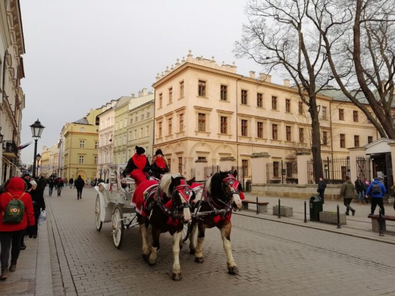 Warsaw: Tour to Krakow and Auschwitz by Train With Pickup - Important Tour Information