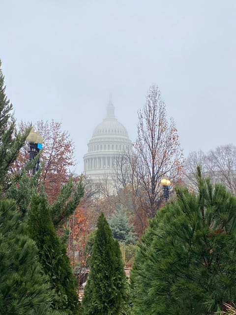 Washington DC: LGBTQ Walking Tour - Tour Details and Information