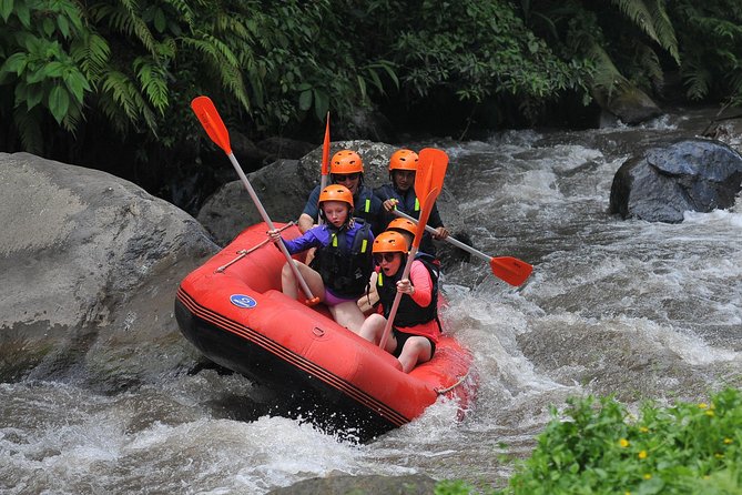 Whitewater Rafting Ayung River With Return Transfer in Ubud Bali - Safety Information