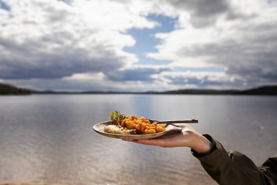 Wild Food & Foraging Hike With Open Fire Lunch in Ivalo - Whats Included