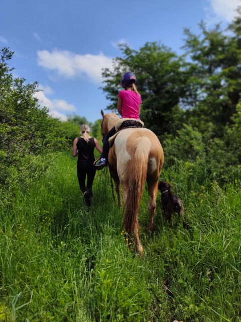 Wild Spring Ranch: Rakovica, Croatia, Horse Riding - Group Options and Customization