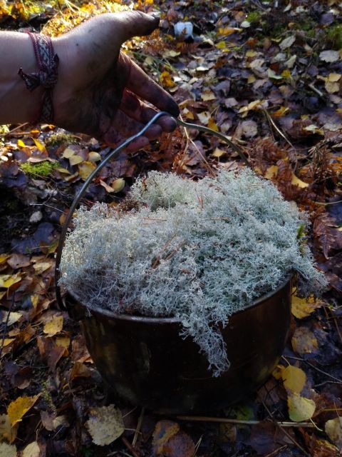 Wilderness Survival and Bushcraft Course in Stockholm - Inclusions