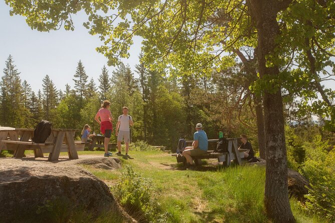 Wildlife Forest Hike - Transport and Meeting Point