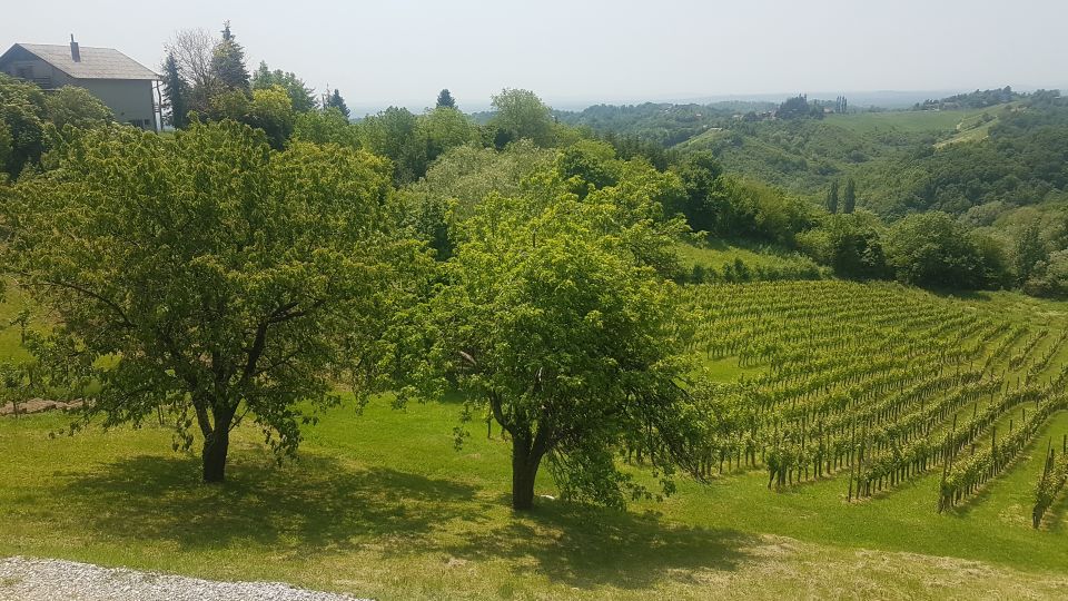 Wine & Food Tour of Plešivica Near Zagreb - Samoborska Kremšnita