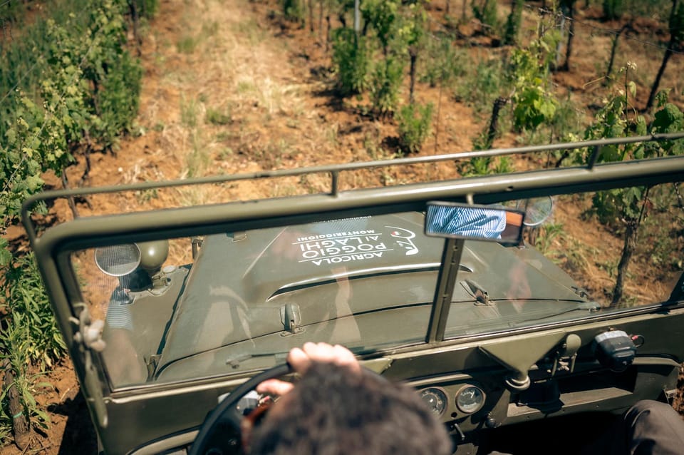 WINE SAFARI: POGGIO AI LAGHI VINEYARDS ON A VINTAGE OFF-ROAD - Vineyard Exploration Insights