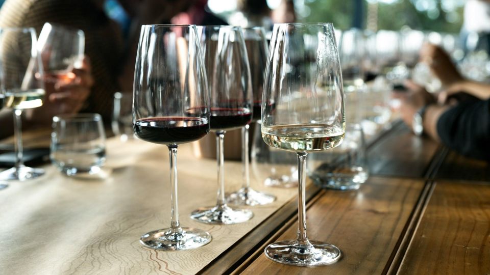 Wine Tasting Odyssey in Athens - Food Pairings