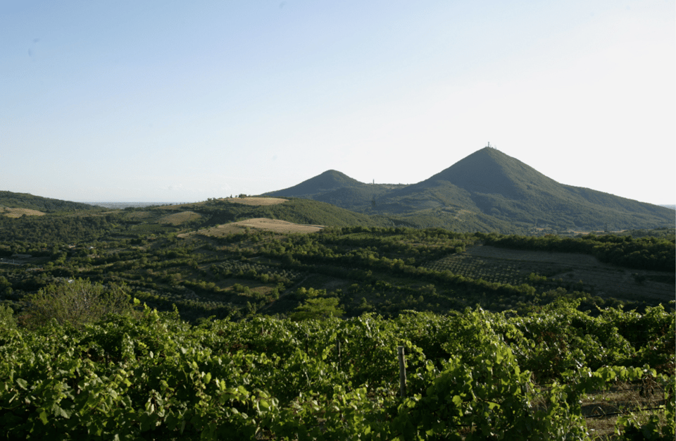 Winery Tour & Tasting on Padova Hills - Language Options