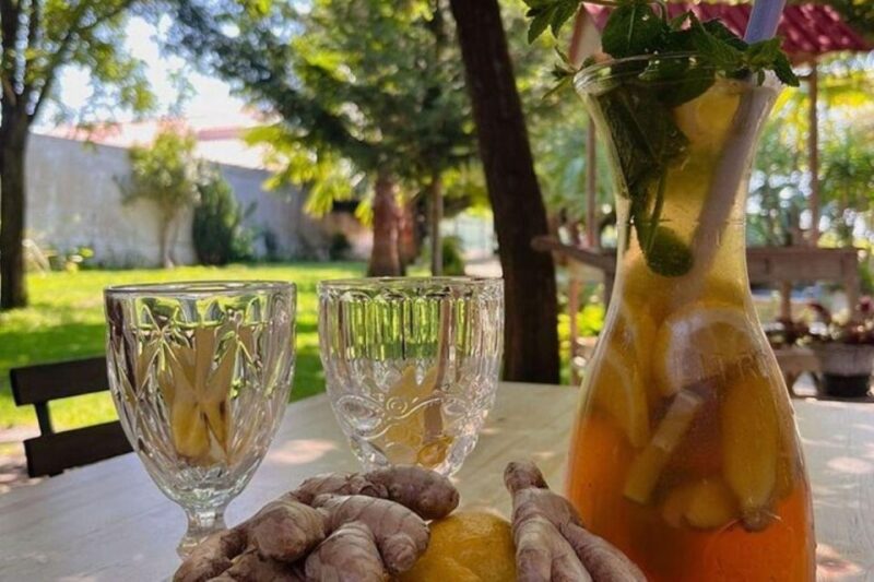 WineTour - Order of Santiago - Palmela - Tour Logistics