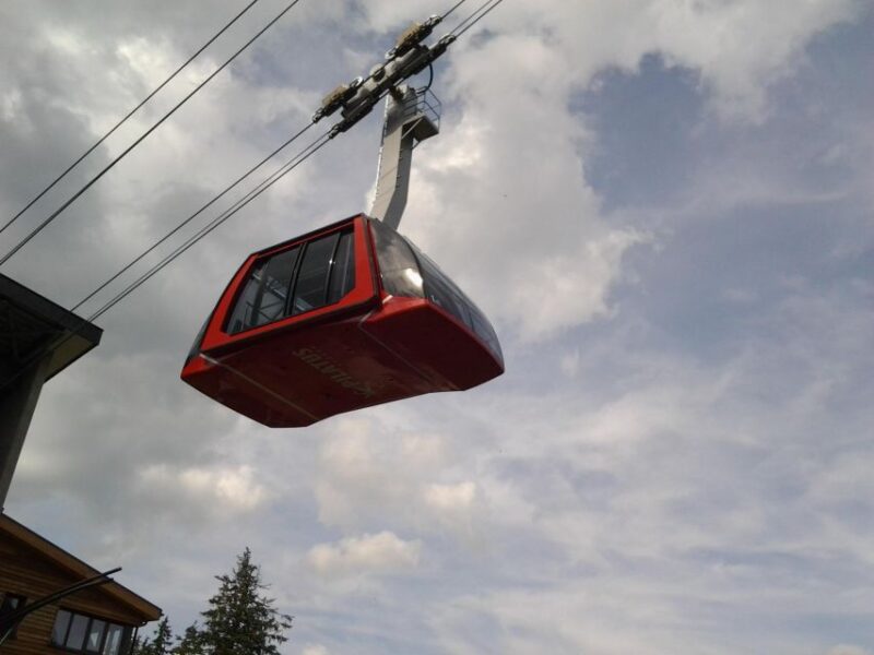 Winter Panorama Mount Pilatus: Small Group Tour From Basel - Aerial Cableway Experience