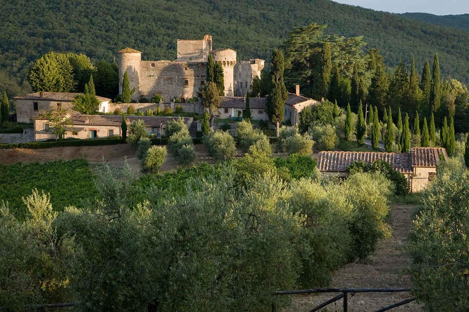 Wonderful Tuscan Wine Tour: Siena, Chianti and San Gimignano - Dining and Wine Tasting