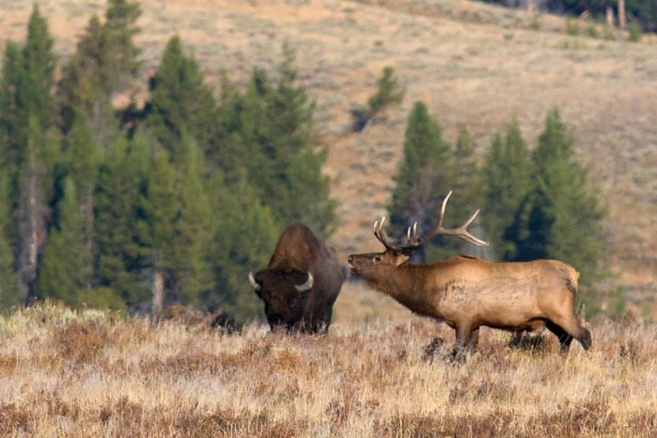 Yellowstone National Park: Group Tour - Included Amenities