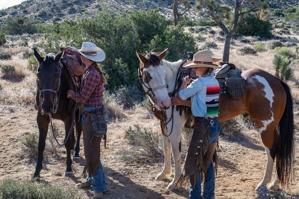 Yucca Valley: Joshua Tree National Park Horseback Ride - Experience Highlights