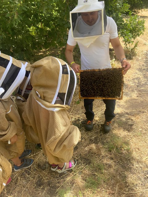 Zafferana Etnea: Honey Extraction Workshop and Honey Tasting - Detailed Itinerary