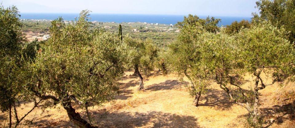 Zakynthos: Private Tour With Wine & Olive Oil Tasting - Transportation Information