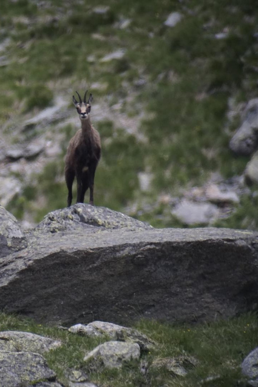 Zermatt: Hiking in the Unique Mountain World - Whats Included