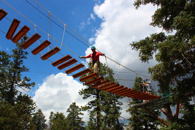 Zipline Tour - 9 High-Speed Ziplines & Fun Suspension Bridge - Pricing and Booking Information