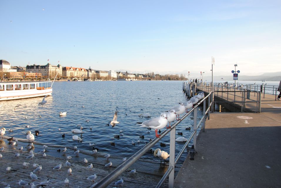 Zurich: 360° City Walk Including Hidden Spots - Important Information