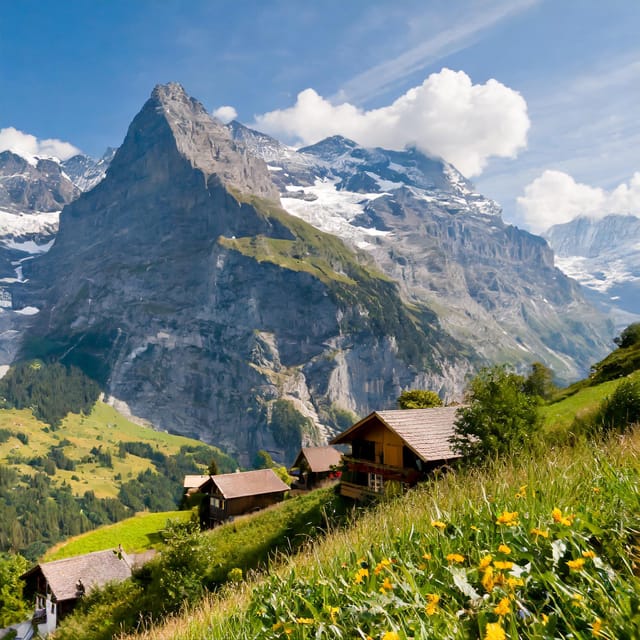 Zurich Interlaken and Grindelwald Private Day Tour - Seasonal Activities