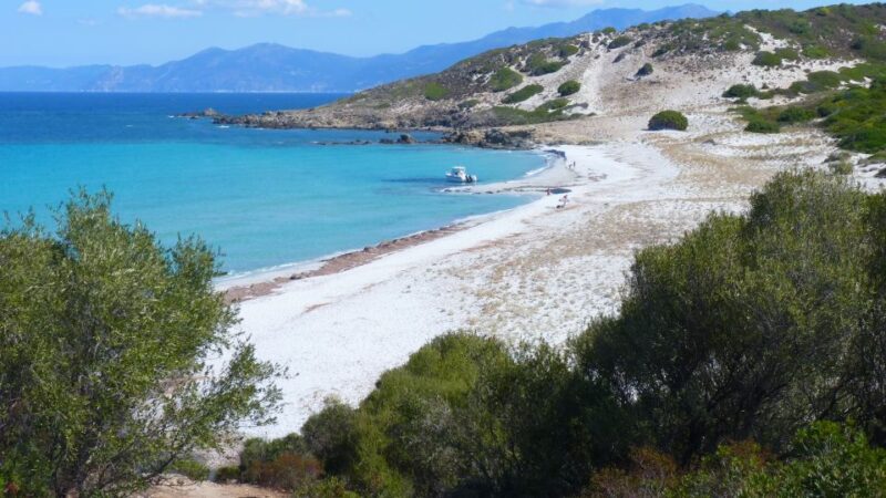 4x4 Agriates Desert and Beach Excursion From Calvi - Experience Highlights