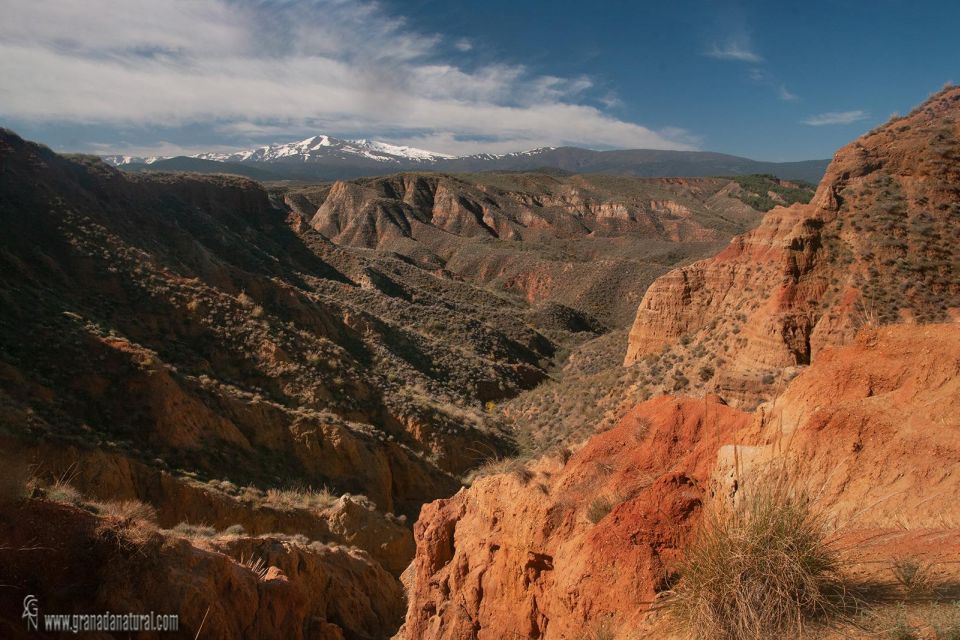 4x4 Los Coloraos Full Day Desert Tour Gorafe - Key Points