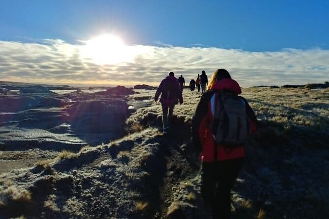 5.5-Hour National Park W/ Hiking Shore Excursion - USHUAIA (Private Tour) - Good To Know