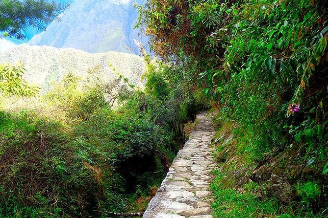 5-Day Private Inca Trail Tour to Machu Picchu - Overview of the Tour