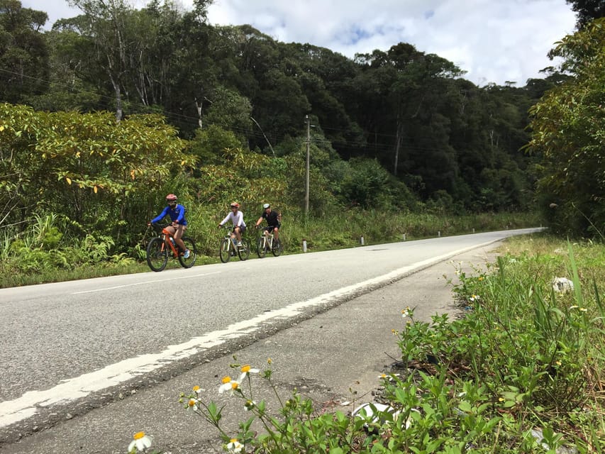 1 Day Cycling to Mui Ne From Dalat - Pickup and Drop-off